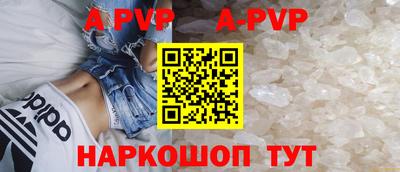 крисы Кулебаки