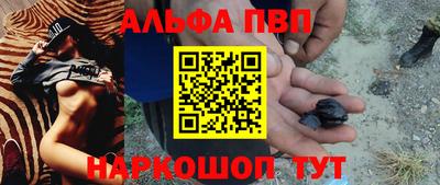 крисы Кулебаки