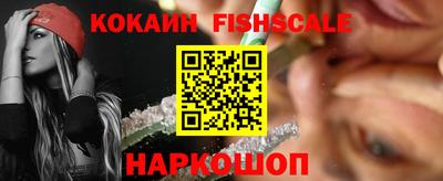 крисы Кулебаки