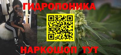 дживик Кунгур