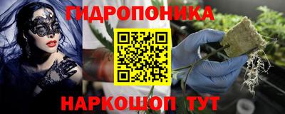 дживик Кунгур