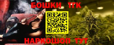 крисы Кулебаки