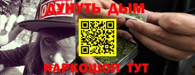 крисы Кулебаки