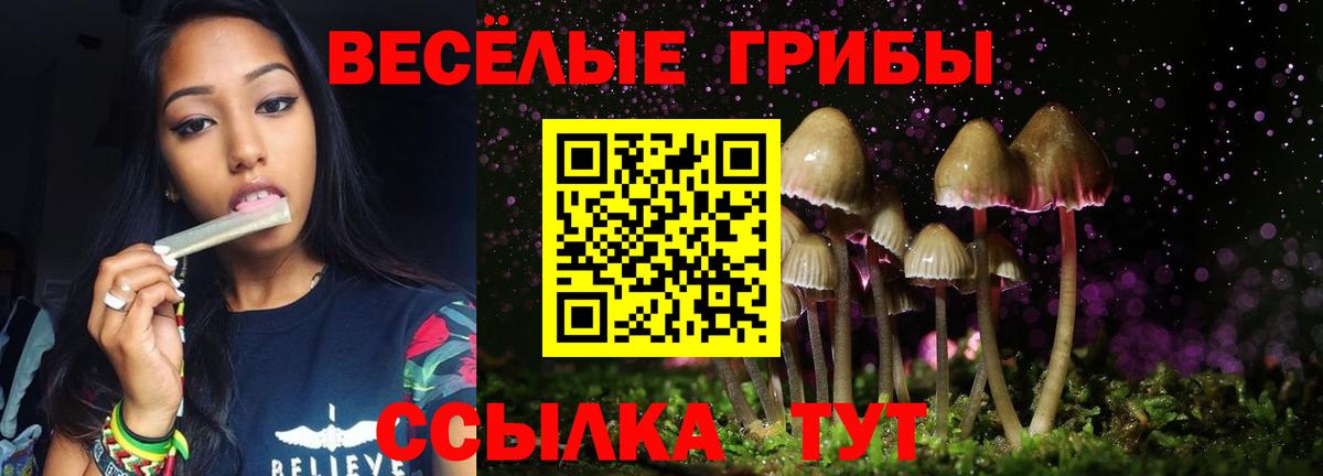 хочу наркоту  Галлюциногенные грибы мицелий  Вход с VPN  Псилоцибиновые грибы ЛСД  Старая Купавна 
